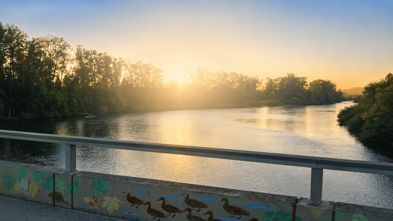 Sunset over a tree-lined river with a duck mural in the foreground.
