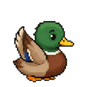 Paddle, the LaneHelp duck, raising a wing